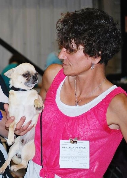 Belle fleur bleue (Sans Affixe) - 1er Excellent . CACIB - MEILLEUR de RACE