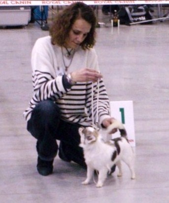 Belle fleur bleue (Sans Affixe) - 1 ère EXCELLENTE .