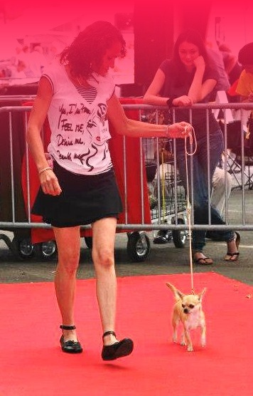 Belle fleur bleue (Sans Affixe) - EXCELLENT - Spéciale de race int .fem.