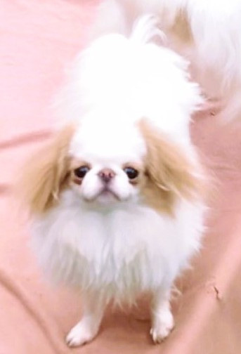 UMINJI du Dieu de la Lumiere