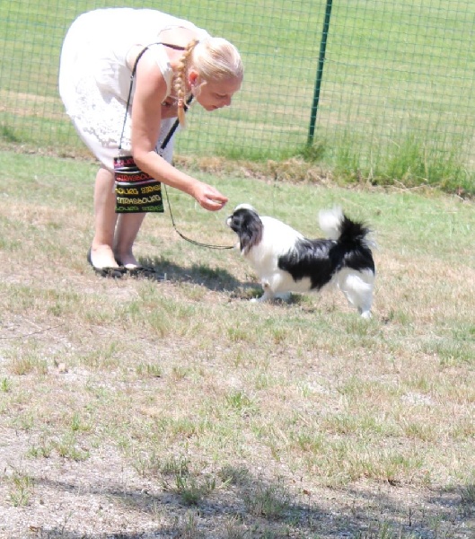 simsalachin Sono luca - Prometteur