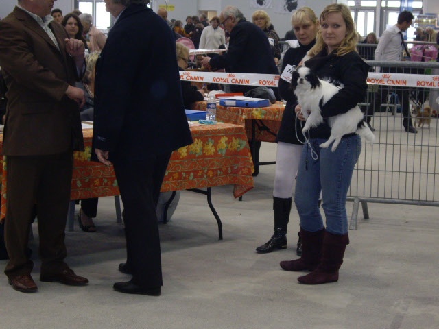 Eden des Sentiers d'Emeraude - assez prometteur puppy CACIB