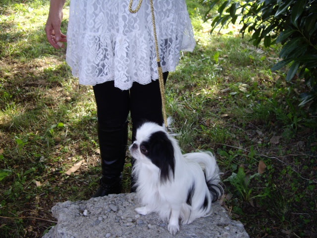 Eden des Sentiers d'Emeraude - 1ER EX JEUNE MEILLEUR JEUNE