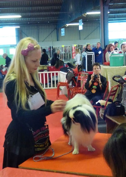 Hinode-hikari-fairy du Dieu de la Lumiere - 2 ém EX R-CACS