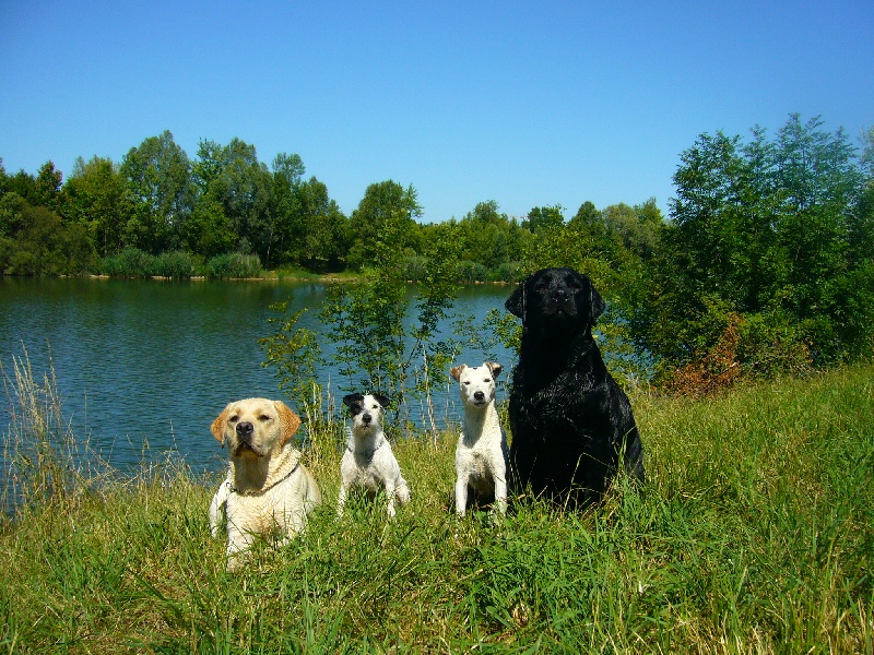 Publication : Du domaine d'orloup Auteur : la domaine d orloup