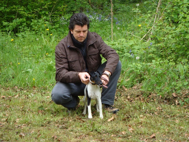CH. Choubaka de Vallauris des astucieux - CACIT-A