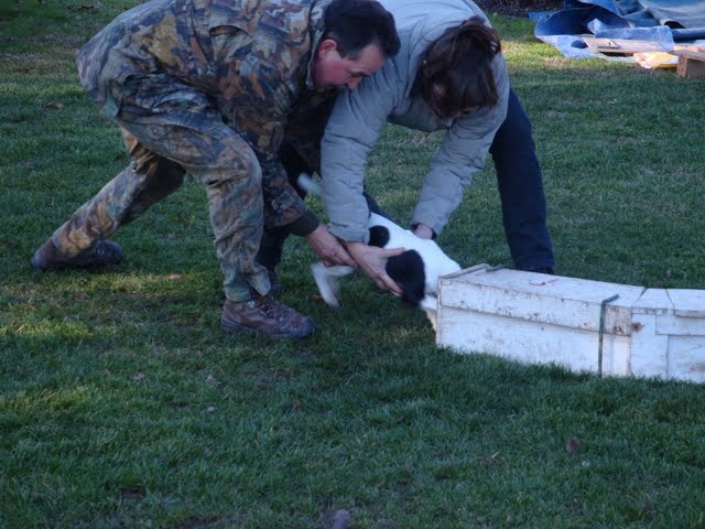 CH. Choubaka de Vallauris des astucieux - 150 points en classe CQN