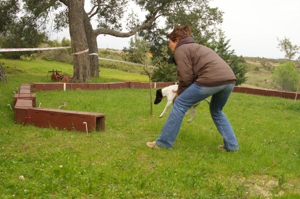 CH. Choubaka de Vallauris des astucieux - 110 points en classe ouverte