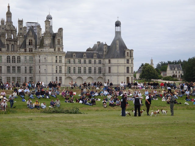 CH. Choubaka de Vallauris des astucieux - Excellent - Confirmation