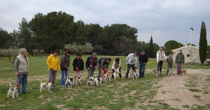 CH. Choubaka de Vallauris des astucieux - 130 points en classe ouverte