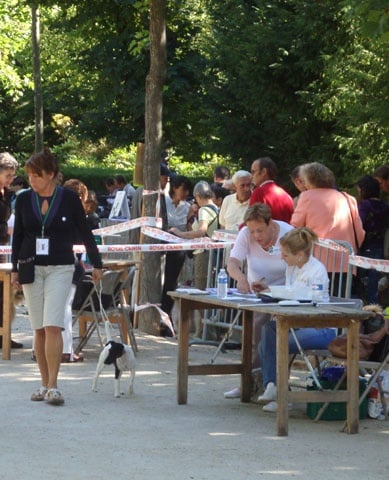 CH. Choubaka de Vallauris des astucieux - CACS