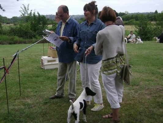 CH. Choubaka de Vallauris des astucieux - Excellent