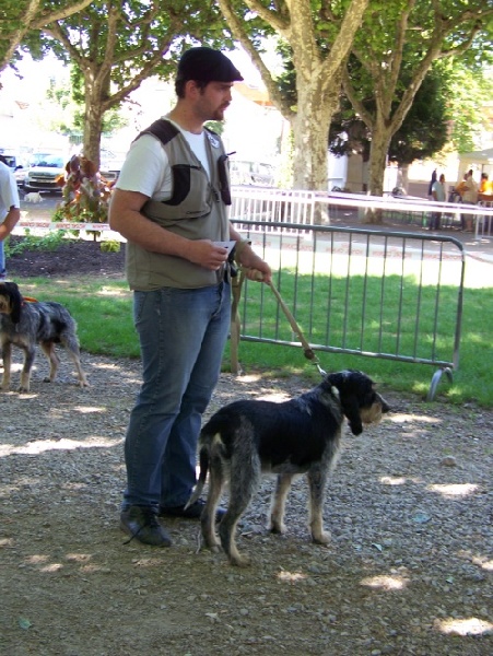 Baladin (Sans Affixe) - 4° Excellent_Classe Travail