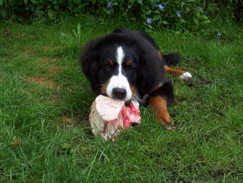 Publication : de la Vallée d'Estréelles Auteur : La vallée d'estréelles