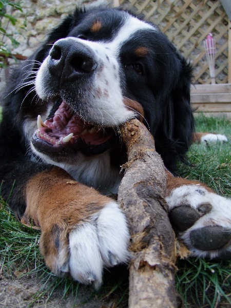 Eos de la Vallée d'Estréelles