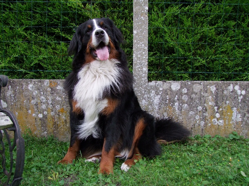 Publication : de la Vallée d'Estréelles Auteur : La vallée d'estréelles