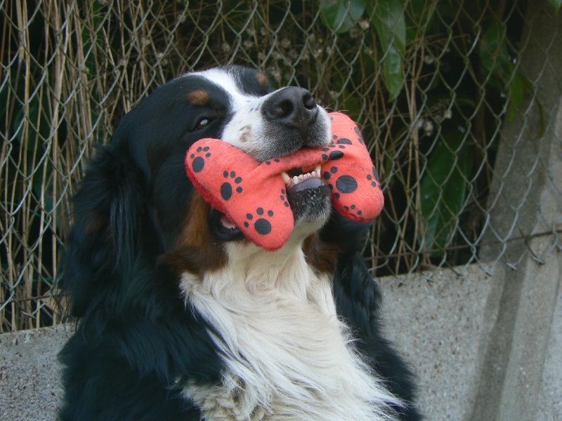 Eos de la Vallée d'Estréelles