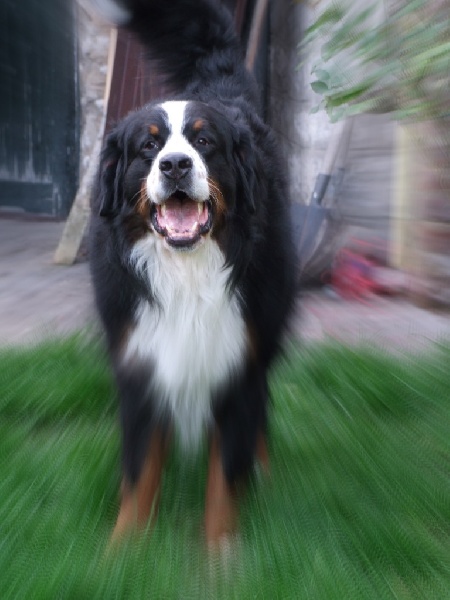 Eos de la Vallée d'Estréelles