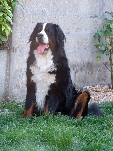 Eos de la Vallée d'Estréelles