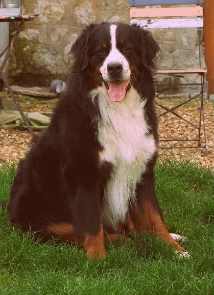 Eos de la Vallée d'Estréelles