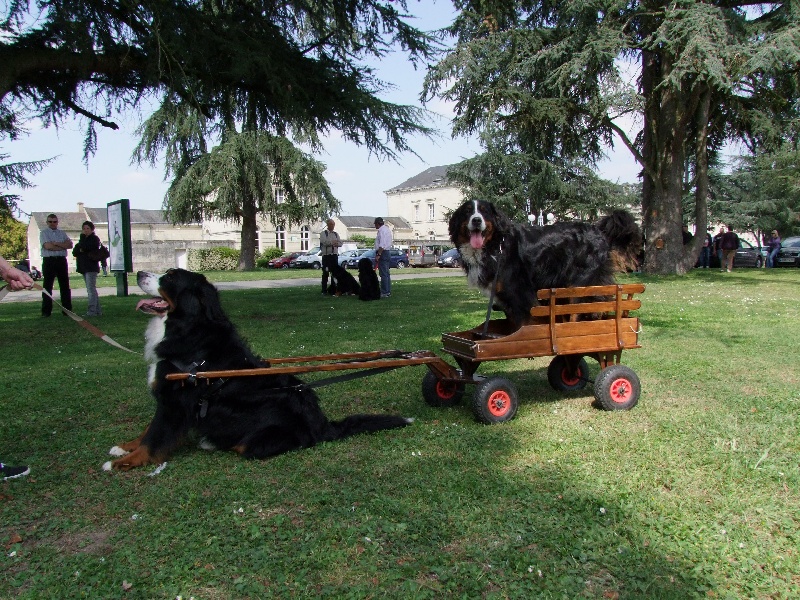 Eos de la Vallée d'Estréelles