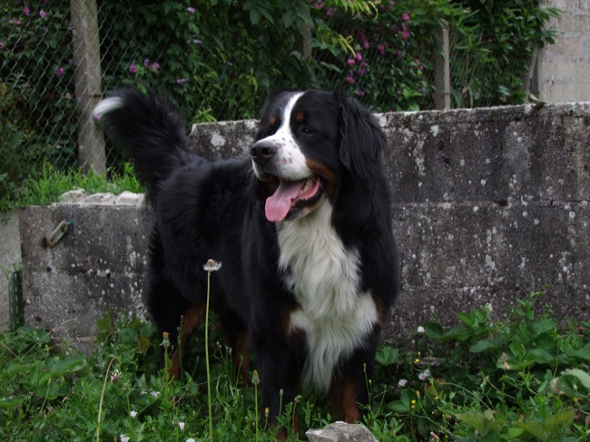 Eos de la Vallée d'Estréelles