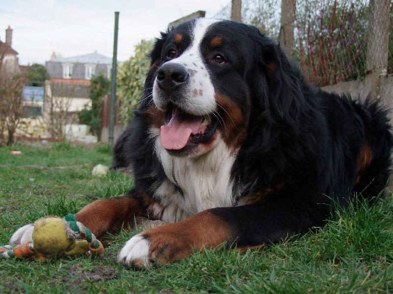 Eos de la Vallée d'Estréelles