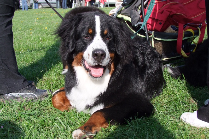 Eos de la Vallée d'Estréelles