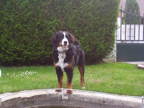 Publication : de la Vallée d'Estréelles Auteur : La vallée d'estréelles