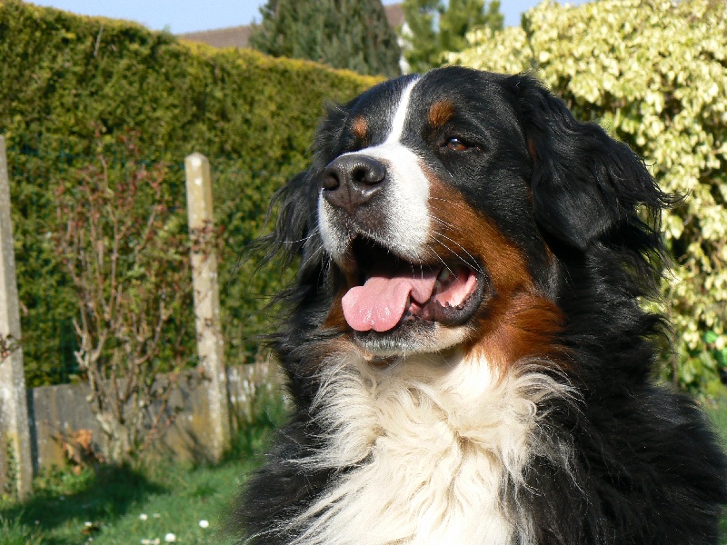 Publication : de la Vallée d'Estréelles Auteur : La vallée d'estréelles