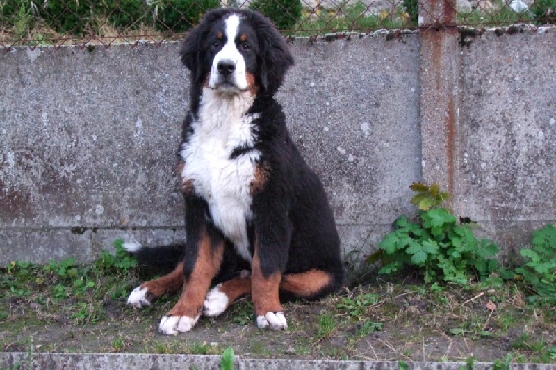 Eos de la Vallée d'Estréelles