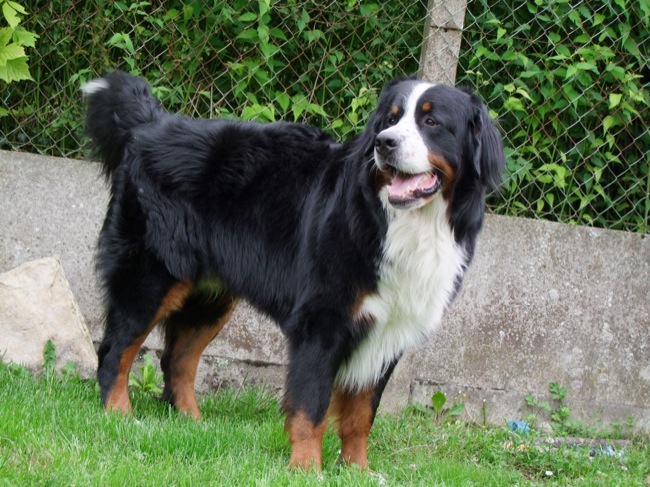 Eos de la Vallée d'Estréelles