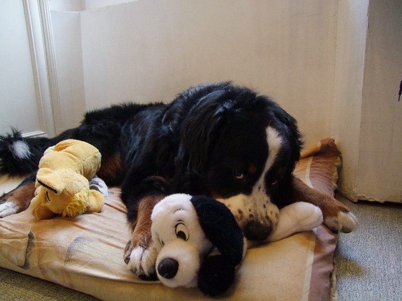 Eos de la Vallée d'Estréelles