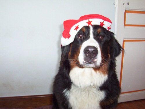 Publication : de la Vallée d'Estréelles Auteur : La vallée d'estréelles