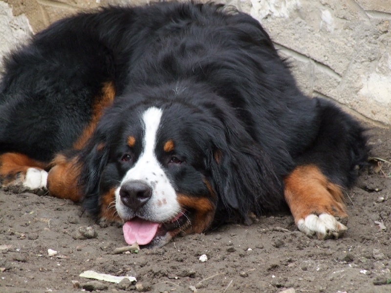 Eos de la Vallée d'Estréelles