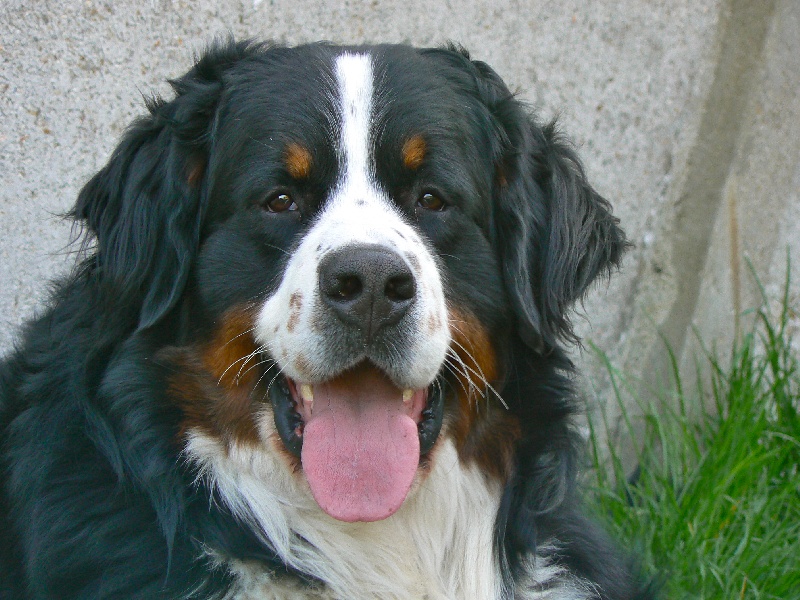 Eos de la Vallée d'Estréelles