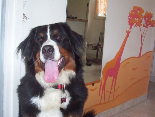 Publication : de la Vallée d'Estréelles Auteur : La vallée d'estréelles