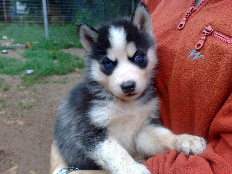 Publication : des Mille et une Patte Auteur : CABRERA STEPHANIE