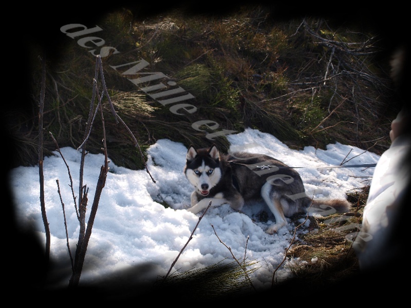 Publication : des Mille et une Patte Auteur : CABRERA STEPHANIE