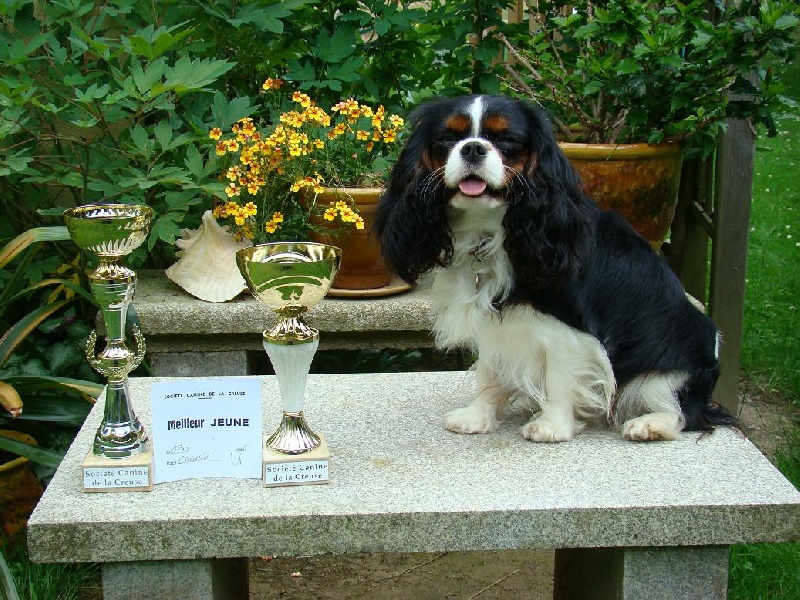 Carham Ciné star - 1er Excellent - Meilleur Jeune du groupe 9