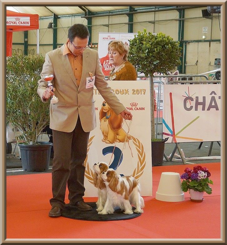 CH. Mayerling de Luline - 1ère Excellent ( Classe jeune)