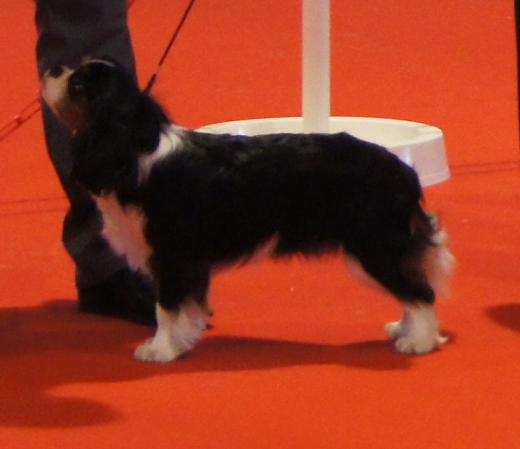 Fabulous dream de Luline - Très prometteur