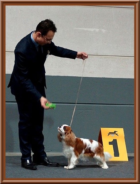 CH. Isadora duncan de Luline - 1ère Excellent; CACL