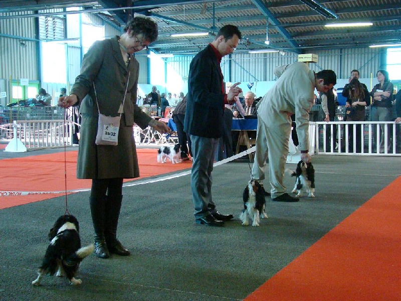 Carham Ciné star - 3ème Excellent