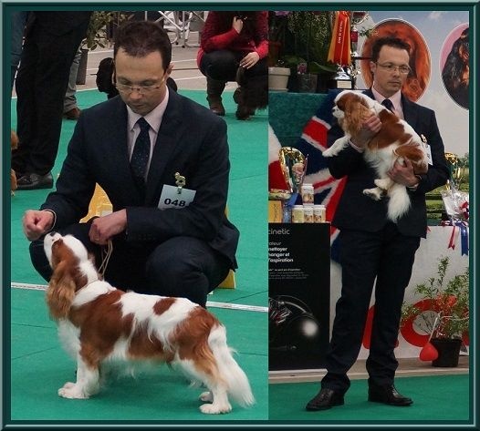 CH. Isadora duncan de Luline - 4ème Excellente