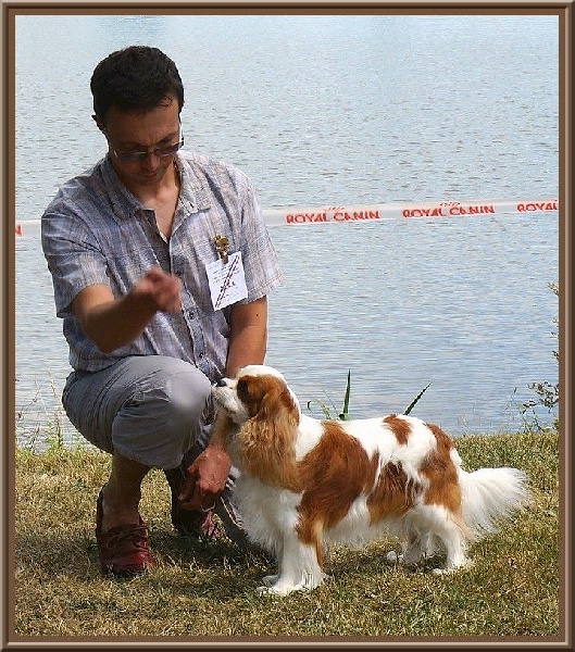 CH. Isadora duncan de Luline - 1ère Excellent; CACS et BOS