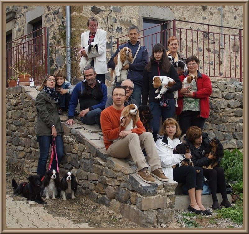 CH. Isadora duncan de Luline - TAN: 10/10