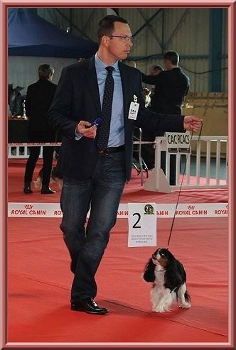 Carham Ciné star - 2ème Excellent