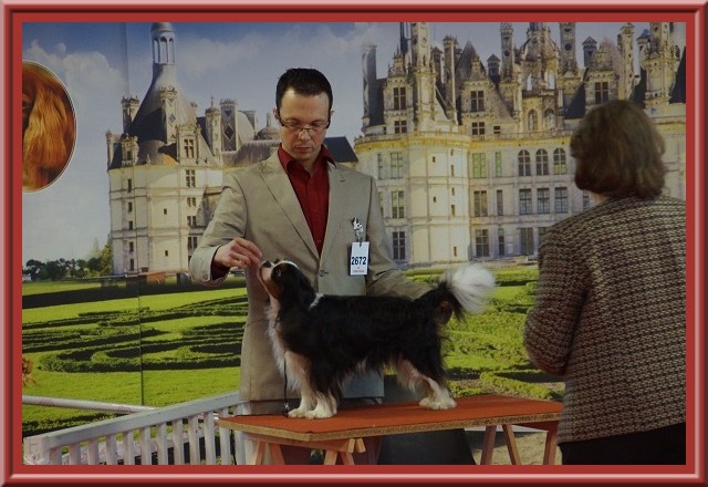 Fabulous dream de Luline - Très Bon