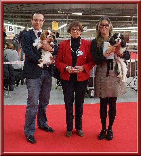 CH. Madame butterfly de Luline - 1ère Très Prometteur - Meilleur Puppy